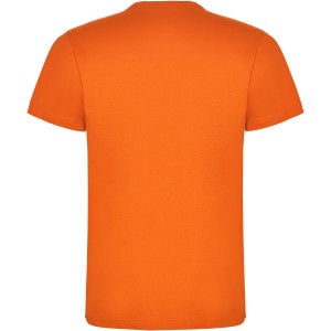 Dogo Premium short sleeve kids t-shirt, Orange (T-shirt, 90-100% cotton)