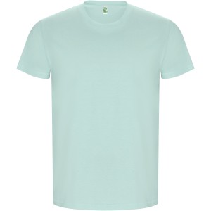 Golden short sleeve men's t-shirt, Mint green