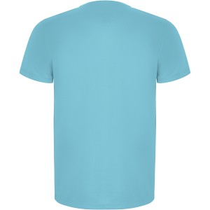 Imola short sleeve men's sports t-shirt, Turquois (T-shirt, mixed fiber, synthetic)