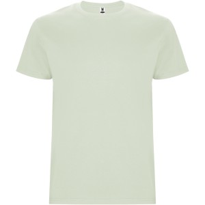 Stafford short sleeve kids t-shirt, Mist Green (T-shirt, 90-100% cotton)