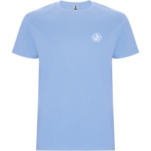 Stafford short sleeve kids t-shirt, Sky blue (T-shirt, 90-100% cotton)