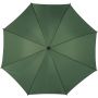 Polyester (190T) umbrella Kelly, green