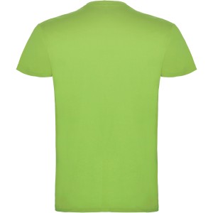 Beagle short sleeve kids t-shirt, Oasis Green (T-shirt, 90-100% cotton)