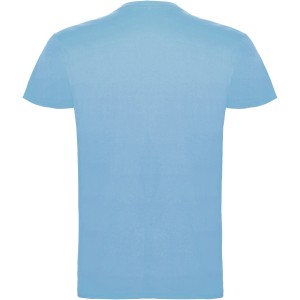 Beagle short sleeve kids t-shirt, Sky blue (T-shirt, 90-100% cotton)