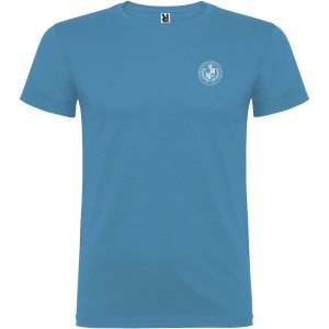 Beagle short sleeve kids t-shirt, Turquois (T-shirt, 90-100% cotton)