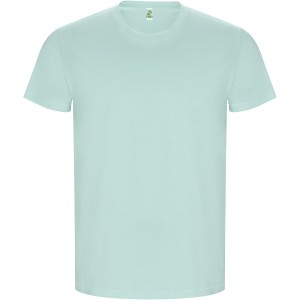 Golden short sleeve men's t-shirt, Mint (T-shirt, 90-100% cotton)