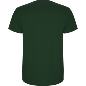 Stafford short sleeve men's t-shirt, Bottle green (T-shirt, 90-100% cotton)