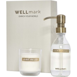 Wellmark Discovery 250 ml hand soap dispenser and 150 g scen