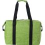 600D polyester cooler bag Alejandro, Green