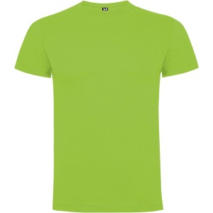 Dogo Premium short sleeve kids t-shirt, Oasis Green (T-shirt, 90-100% cotton)