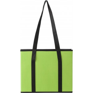 Nonwoven (80 gr/m2) car organizer Remi, lime (Car accesories)