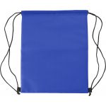Polyester coolerbag, cobalt blue (8513-23)