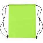 Polyester coolerbag, lime (8513-19)