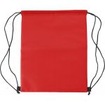 Polyester coolerbag, red (8513-08)