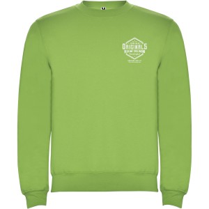 Clasica unisex crewneck sweater, Oasis Green (Pullovers)