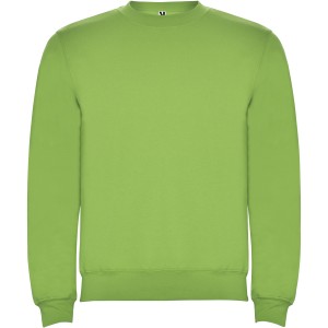Clasica unisex crewneck sweater, Oasis Green (Pullovers)