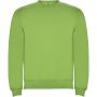 Clasica unisex crewneck sweater, Oasis Green