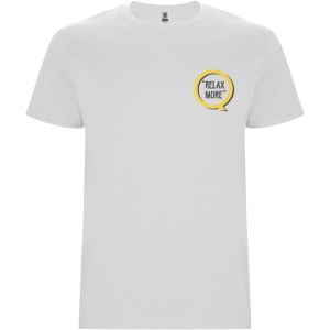 Stafford short sleeve men's t-shirt, White (T-shirt, 90-100% cotton)