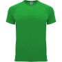 Bahrain short sleeve kids sports t-shirt, Green Fern