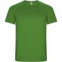 Imola short sleeve men's sports t-shirt, Green Fern