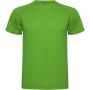 Montecarlo short sleeve men's sports t-shirt, Green Fern