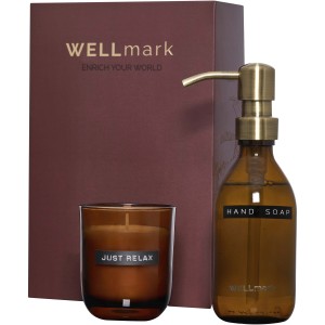 Wellmark Discovery 250 ml hand soap dispenser and 150 g scen